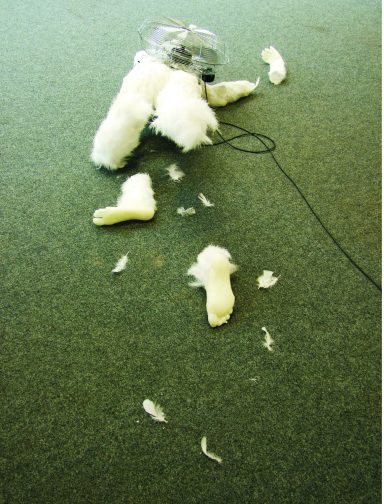 Künstler Jan Moritz Stahl - Zerfetzte Stücke von weißem Material liegen auf grünem Boden. Ein Ventilator steht daneben.